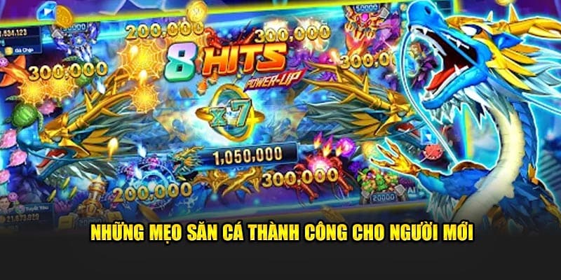 Phương pháp tham gia săn cá long vương bất bại