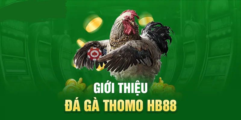 ĐÁ GÀ THOMO HB88